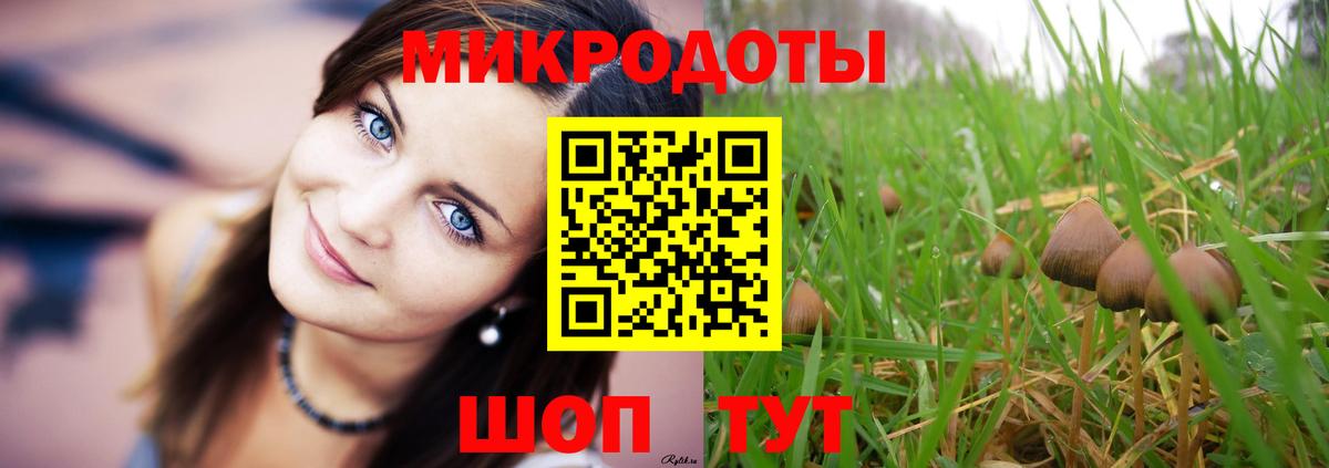 Псилоцибиновые грибы Cubensis Орёл